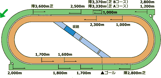 中京競馬場コース図