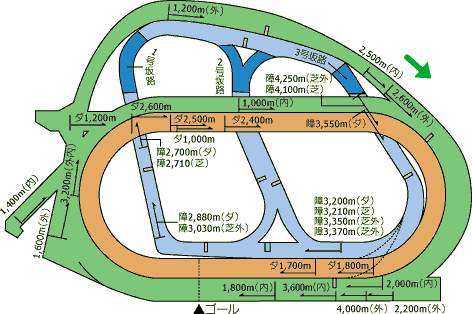 中山競馬場コース図