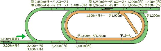 新潟競馬場コース図