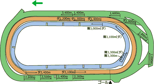 東京競馬場コース図