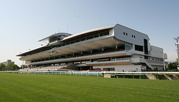 函館競馬場