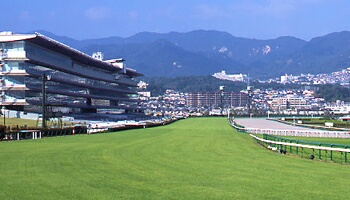 阪神競馬場