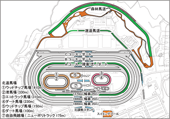 美浦トレーニングセンター調教施設