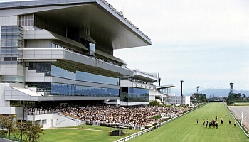 新潟競馬場