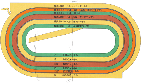 栗東トレーニングセンター調教施設